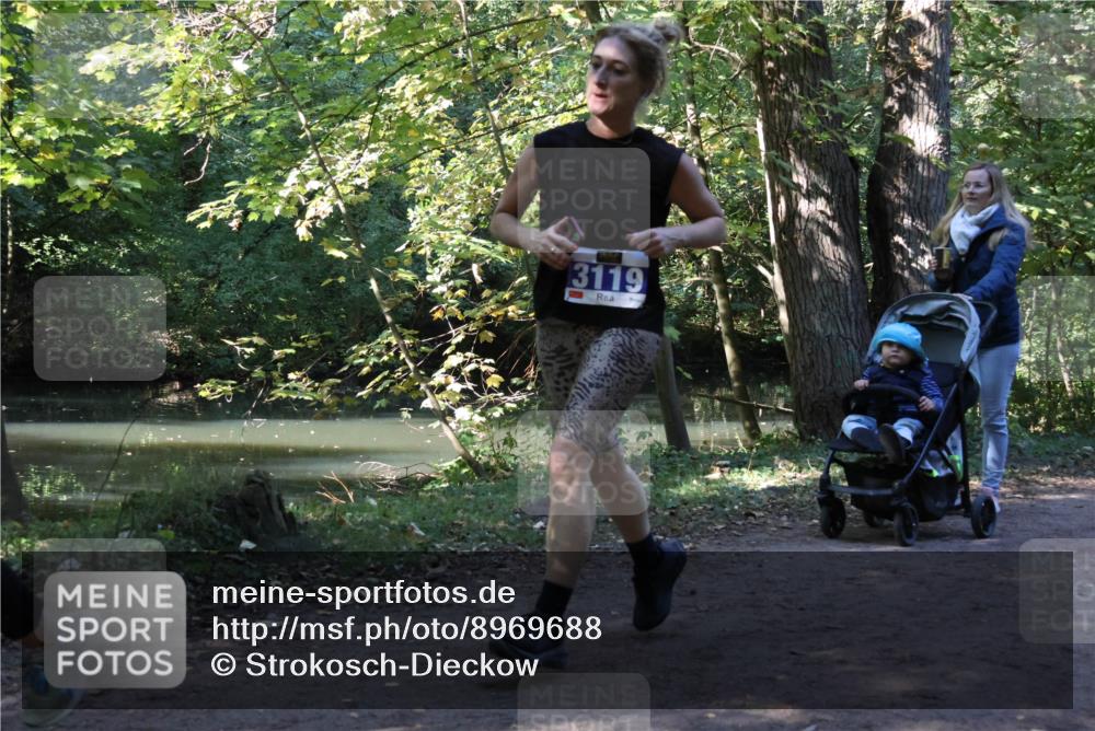 28.09.2025 - 33. Volkslauf durch das schöne Alstertal Strokosch-Dieckow http://msf.ph/oto/8969688 28.09.2025 11:33:48 Laufen 3119 meine-sportfotos.de