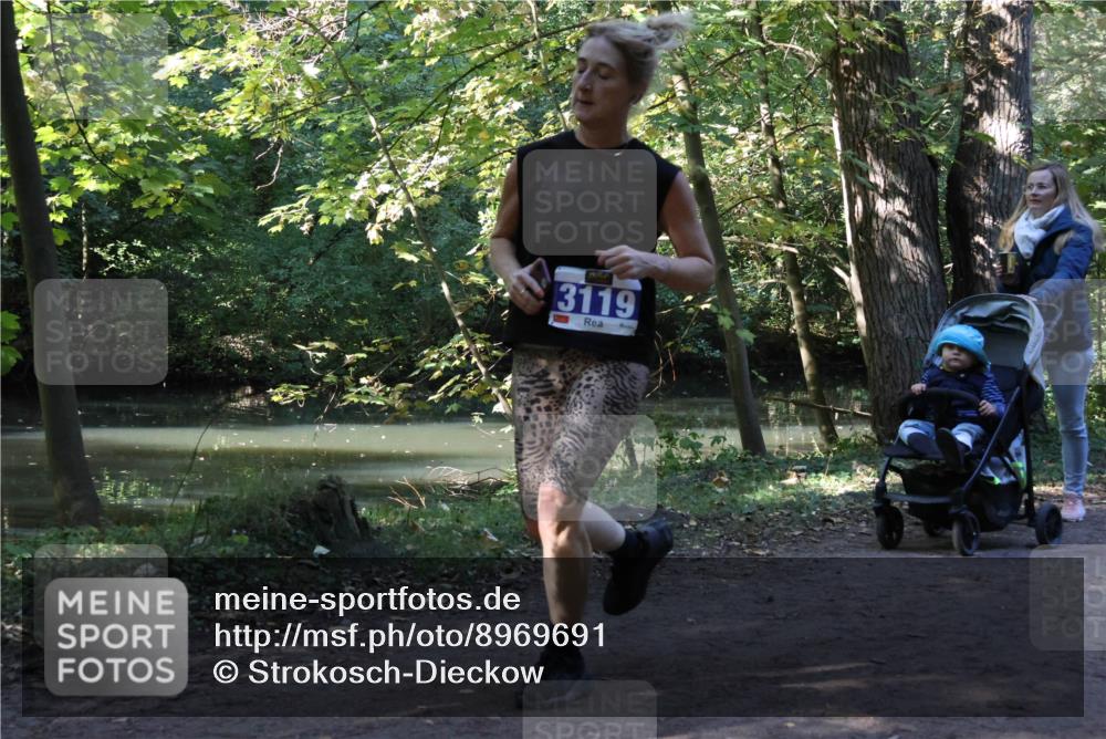 28.09.2025 - 33. Volkslauf durch das schöne Alstertal Strokosch-Dieckow http://msf.ph/oto/8969691 28.09.2025 11:33:48 Laufen 3119 meine-sportfotos.de
