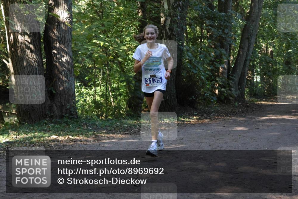 28.09.2025 - 33. Volkslauf durch das schöne Alstertal Strokosch-Dieckow http://msf.ph/oto/8969692 28.09.2025 11:33:51 Laufen 2025, 3135 meine-sportfotos.de