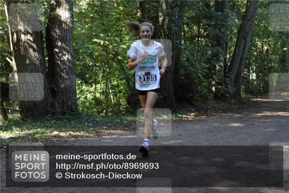 28.09.2025 - 33. Volkslauf durch das schöne Alstertal Strokosch-Dieckow http://msf.ph/oto/8969693 28.09.2025 11:33:51 Laufen 3135 meine-sportfotos.de