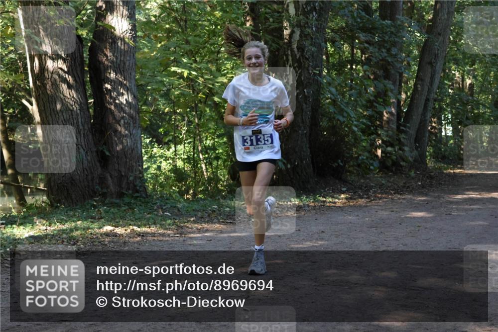 28.09.2025 - 33. Volkslauf durch das schöne Alstertal Strokosch-Dieckow http://msf.ph/oto/8969694 28.09.2025 11:33:51 Laufen 25, 3135 meine-sportfotos.de