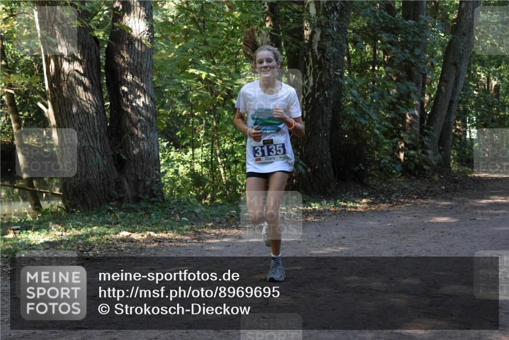28.09.2025 - 33. Volkslauf durch das schöne Alstertal Strokosch-Dieckow http://msf.ph/oto/8969695 28.09.2025 11:33:51 Laufen 16, 3135 meine-sportfotos.de
