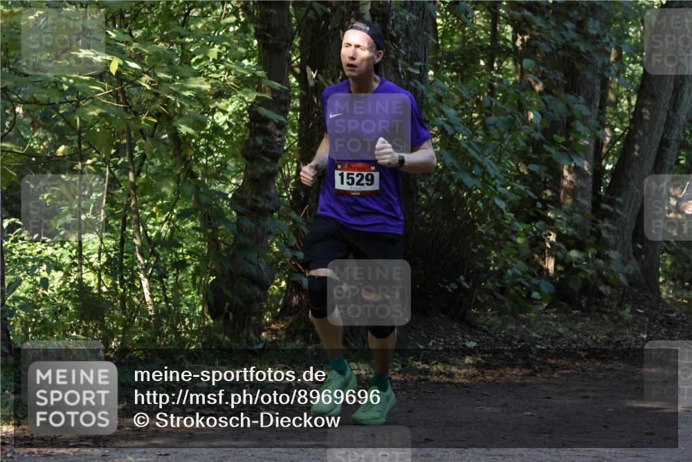 28.09.2025 - 33. Volkslauf durch das schöne Alstertal Strokosch-Dieckow http://msf.ph/oto/8969696 28.09.2025 11:34:03 Laufen 1529 meine-sportfotos.de