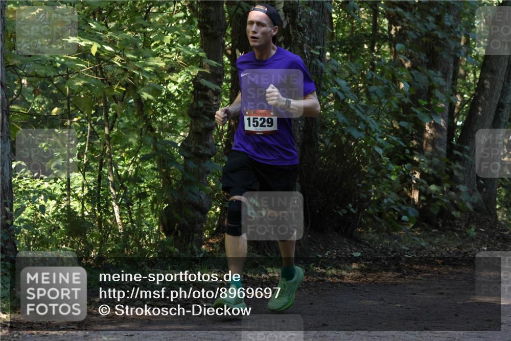28.09.2025 - 33. Volkslauf durch das schöne Alstertal Strokosch-Dieckow http://msf.ph/oto/8969697 28.09.2025 11:34:03 Laufen 1529 meine-sportfotos.de