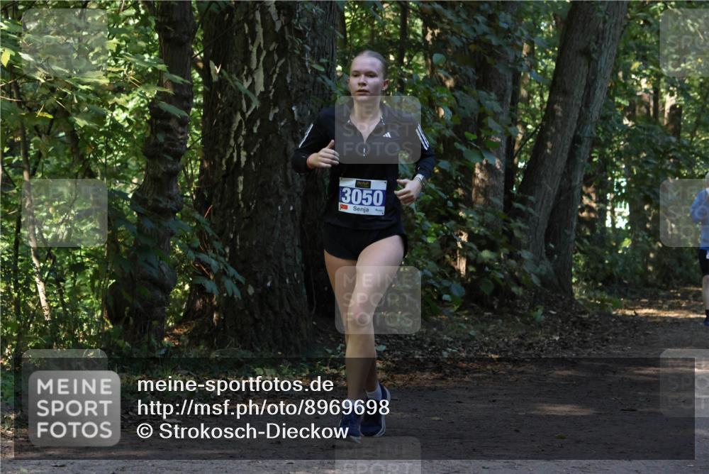 28.09.2025 - 33. Volkslauf durch das schöne Alstertal Strokosch-Dieckow http://msf.ph/oto/8969698 28.09.2025 11:34:05 Laufen 3050 meine-sportfotos.de