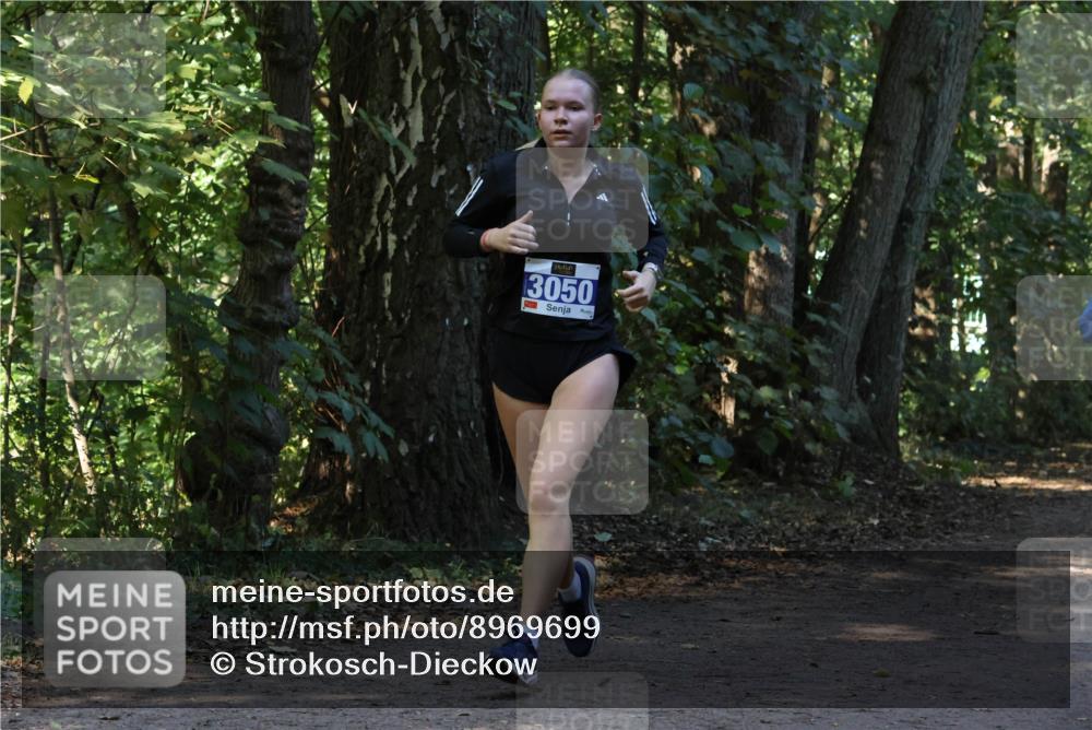 28.09.2025 - 33. Volkslauf durch das schöne Alstertal Strokosch-Dieckow http://msf.ph/oto/8969699 28.09.2025 11:34:05 Laufen 3050 meine-sportfotos.de