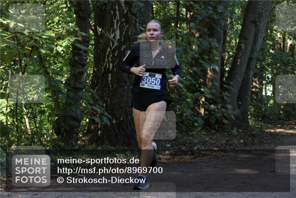 28.09.2025 - 33. Volkslauf durch das schöne Alstertal Strokosch-Dieckow http://msf.ph/oto/8969700 28.09.2025 11:34:05 Laufen 3050 meine-sportfotos.de