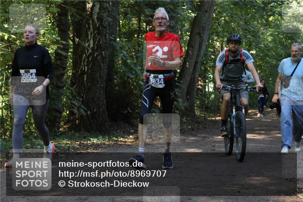 28.09.2025 - 33. Volkslauf durch das schöne Alstertal Strokosch-Dieckow http://msf.ph/oto/8969707 28.09.2025 11:34:25 Laufen 3054, 3034 meine-sportfotos.de