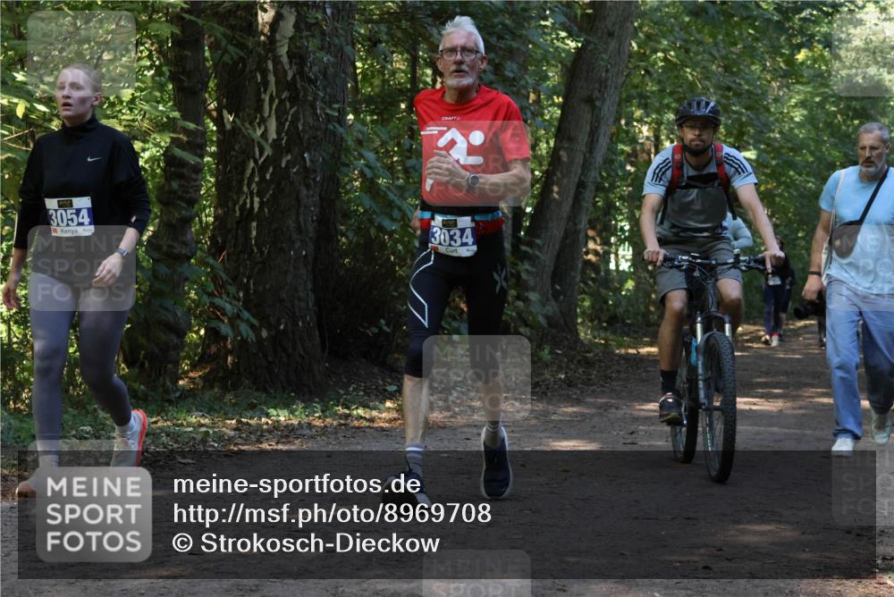 28.09.2025 - 33. Volkslauf durch das schöne Alstertal Strokosch-Dieckow http://msf.ph/oto/8969708 28.09.2025 11:34:25 Laufen 3054, 2, 3034 meine-sportfotos.de