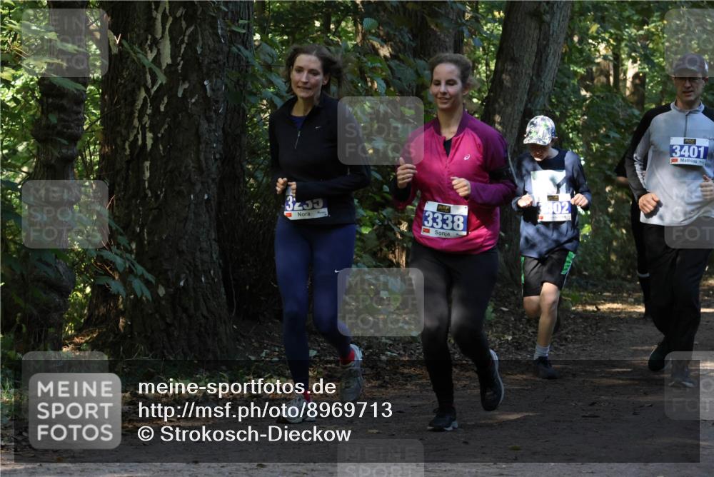 28.09.2025 - 33. Volkslauf durch das schöne Alstertal Strokosch-Dieckow http://msf.ph/oto/8969713 28.09.2025 11:34:35 Laufen 5, 3338, 402, 3401 meine-sportfotos.de