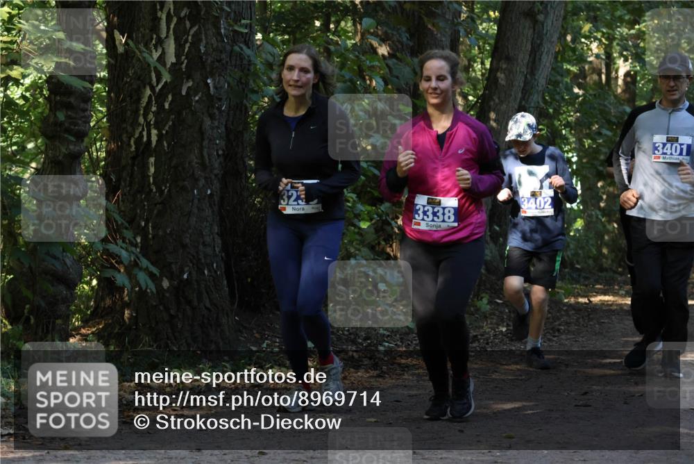 28.09.2025 - 33. Volkslauf durch das schöne Alstertal Strokosch-Dieckow http://msf.ph/oto/8969714 28.09.2025 11:34:35 Laufen 323, 3338, 3402, 3401 meine-sportfotos.de