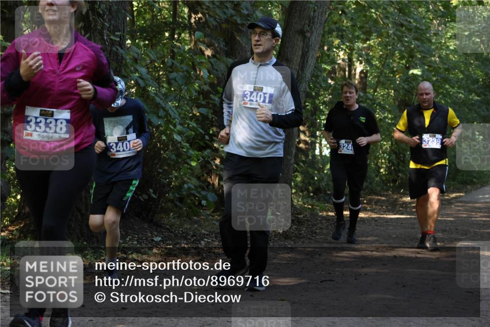 28.09.2025 - 33. Volkslauf durch das schöne Alstertal Strokosch-Dieckow http://msf.ph/oto/8969716 28.09.2025 11:34:37 Laufen 3338, 340, 3401, 3239, 324 meine-sportfotos.de