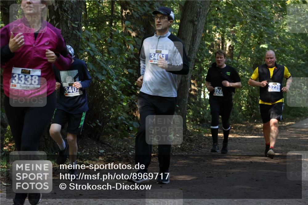 28.09.2025 - 33. Volkslauf durch das schöne Alstertal Strokosch-Dieckow http://msf.ph/oto/8969717 28.09.2025 11:34:37 Laufen 3338, 340, 3401, 324, 3239 meine-sportfotos.de