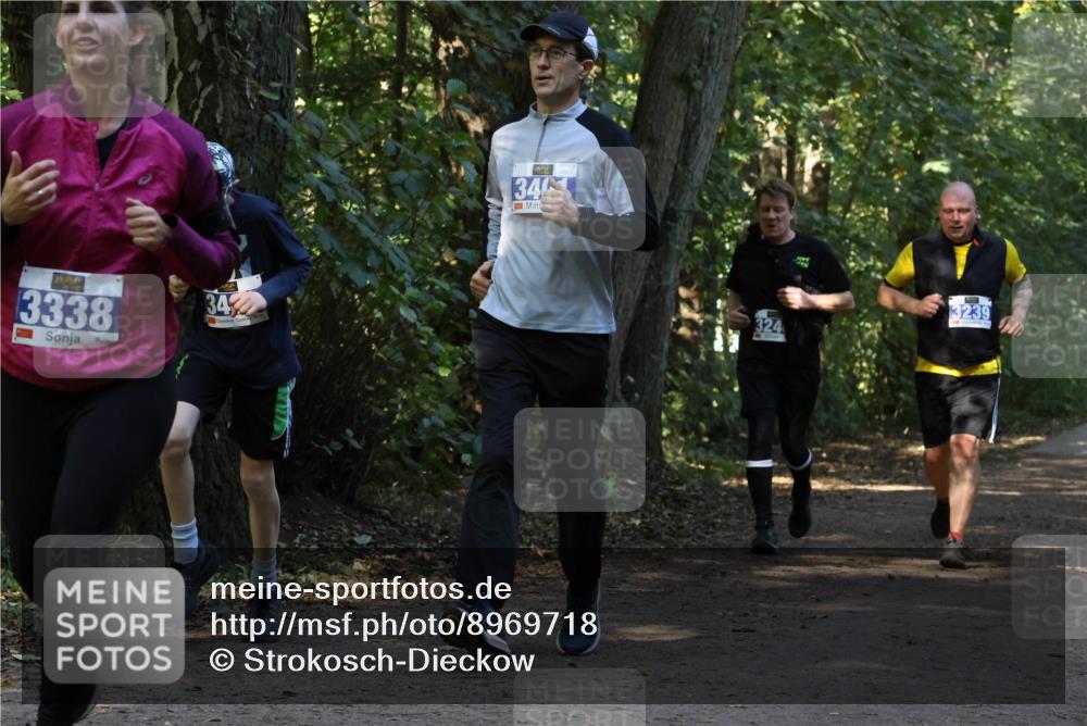 28.09.2025 - 33. Volkslauf durch das schöne Alstertal Strokosch-Dieckow http://msf.ph/oto/8969718 28.09.2025 11:34:37 Laufen 3338, 34, 346, 324, 3239 meine-sportfotos.de