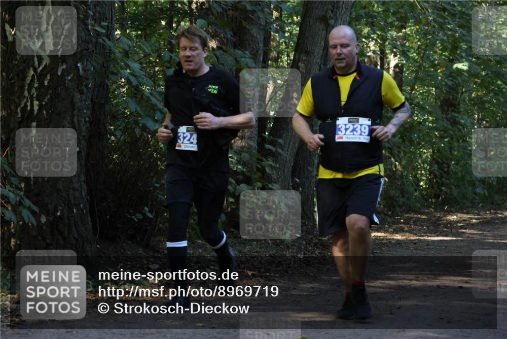 28.09.2025 - 33. Volkslauf durch das schöne Alstertal Strokosch-Dieckow http://msf.ph/oto/8969719 28.09.2025 11:34:39 Laufen 324, 3239 meine-sportfotos.de
