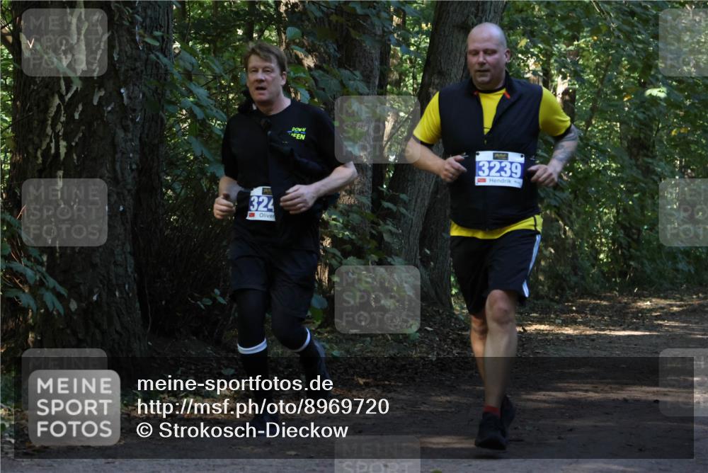 28.09.2025 - 33. Volkslauf durch das schöne Alstertal Strokosch-Dieckow http://msf.ph/oto/8969720 28.09.2025 11:34:39 Laufen 3239, 324 meine-sportfotos.de