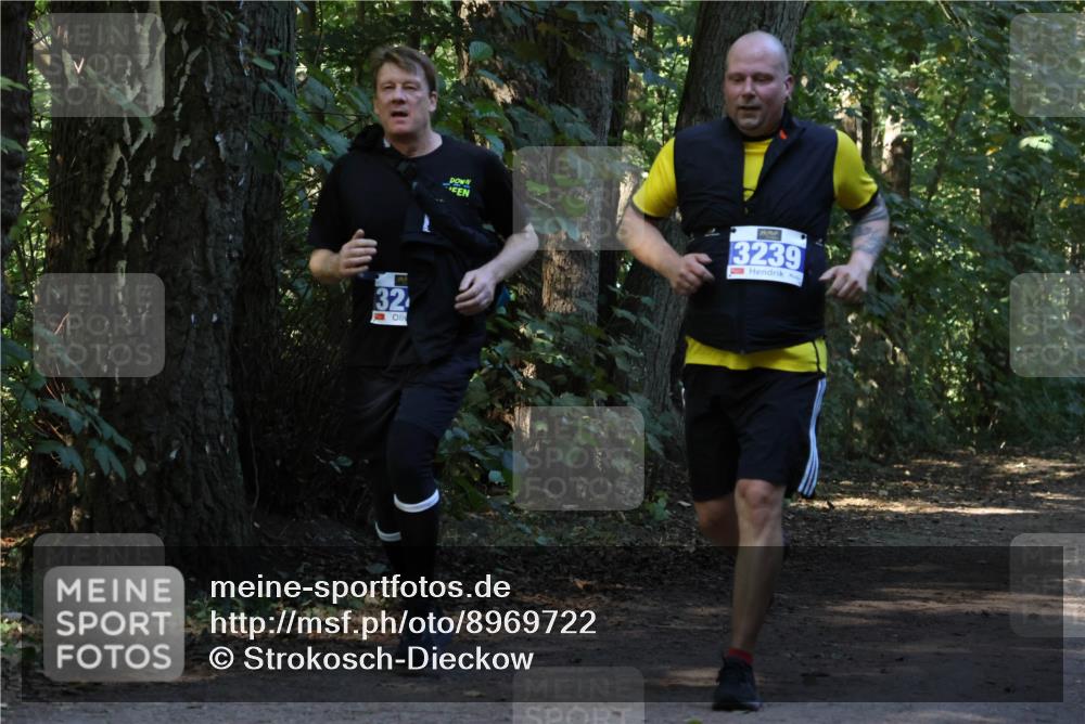 28.09.2025 - 33. Volkslauf durch das schöne Alstertal Strokosch-Dieckow http://msf.ph/oto/8969722 28.09.2025 11:34:39 Laufen 32, 3239 meine-sportfotos.de