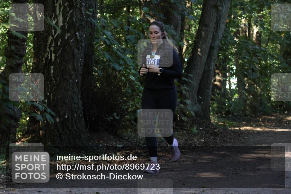 28.09.2025 - 33. Volkslauf durch das schöne Alstertal Strokosch-Dieckow http://msf.ph/oto/8969723 28.09.2025 11:34:55 Laufen 3161 meine-sportfotos.de