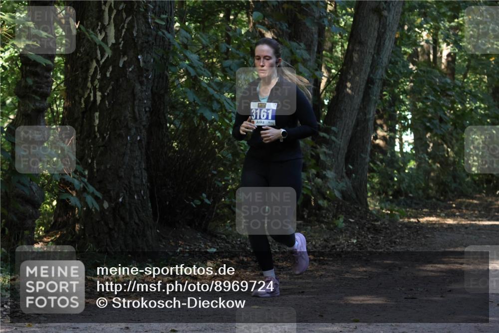 28.09.2025 - 33. Volkslauf durch das schöne Alstertal Strokosch-Dieckow http://msf.ph/oto/8969724 28.09.2025 11:34:55 Laufen 3161 meine-sportfotos.de