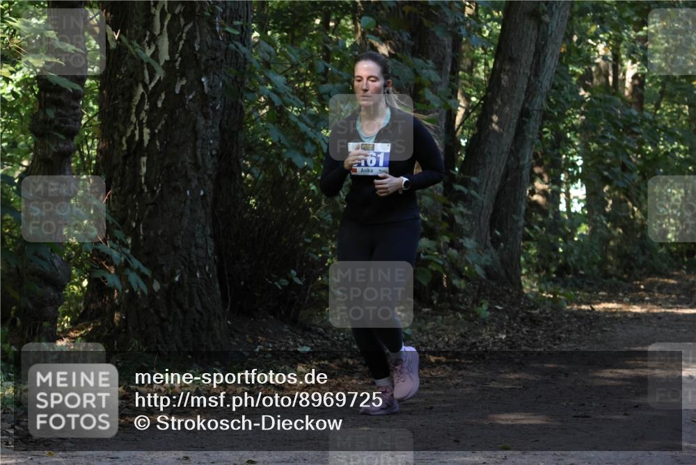 28.09.2025 - 33. Volkslauf durch das schöne Alstertal Strokosch-Dieckow http://msf.ph/oto/8969725 28.09.2025 11:34:56 Laufen 61 meine-sportfotos.de