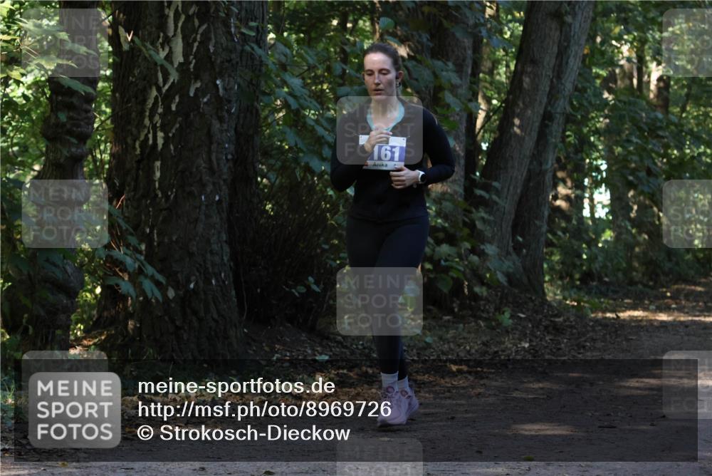 28.09.2025 - 33. Volkslauf durch das schöne Alstertal Strokosch-Dieckow http://msf.ph/oto/8969726 28.09.2025 11:34:56 Laufen 161 meine-sportfotos.de