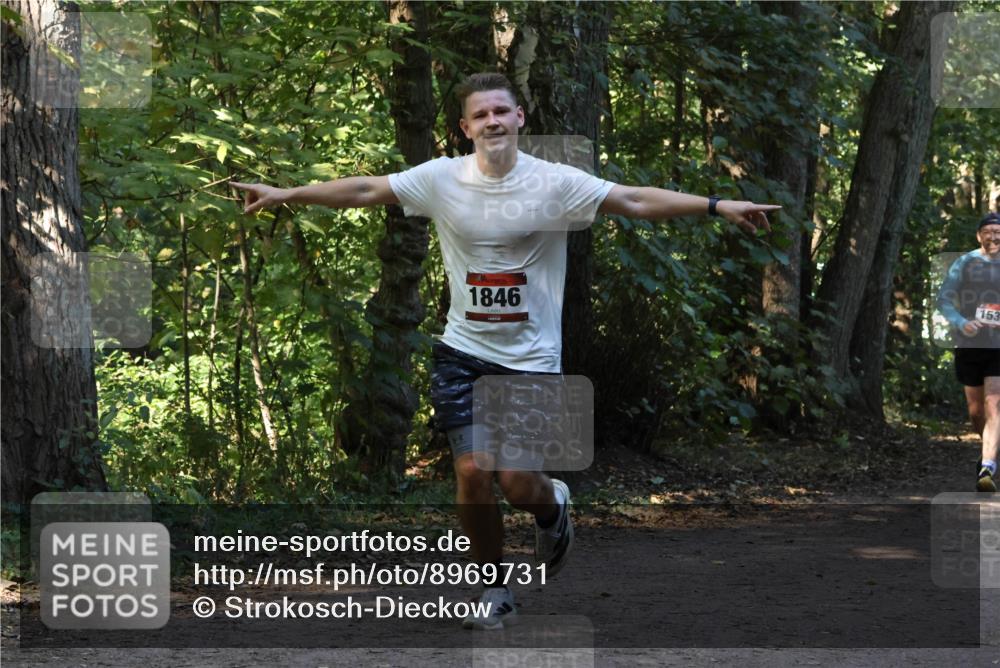 28.09.2025 - 33. Volkslauf durch das schöne Alstertal Strokosch-Dieckow http://msf.ph/oto/8969731 28.09.2025 11:35:01 Laufen 1846, 153 meine-sportfotos.de