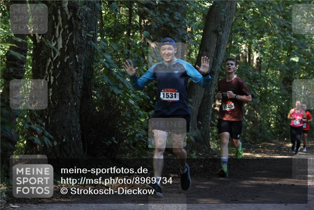 28.09.2025 - 33. Volkslauf durch das schöne Alstertal Strokosch-Dieckow http://msf.ph/oto/8969734 28.09.2025 11:35:03 Laufen 1531, 1525 meine-sportfotos.de