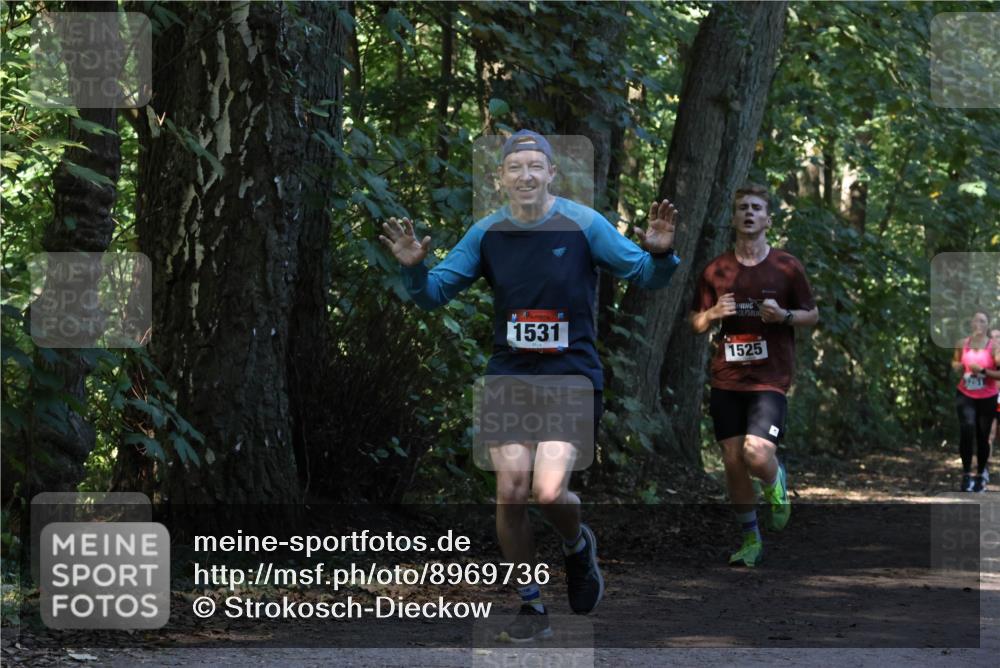 28.09.2025 - 33. Volkslauf durch das schöne Alstertal Strokosch-Dieckow http://msf.ph/oto/8969736 28.09.2025 11:35:03 Laufen 1531, 1525 meine-sportfotos.de