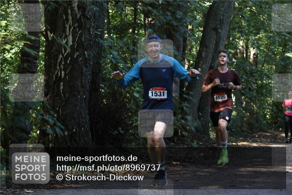 28.09.2025 - 33. Volkslauf durch das schöne Alstertal Strokosch-Dieckow http://msf.ph/oto/8969737 28.09.2025 11:35:03 Laufen 1531, 1525 meine-sportfotos.de
