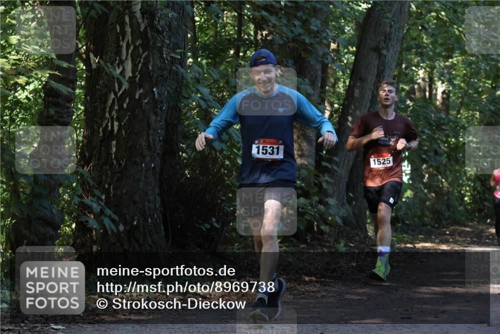 28.09.2025 - 33. Volkslauf durch das schöne Alstertal Strokosch-Dieckow http://msf.ph/oto/8969738 28.09.2025 11:35:03 Laufen 1531, 1525 meine-sportfotos.de
