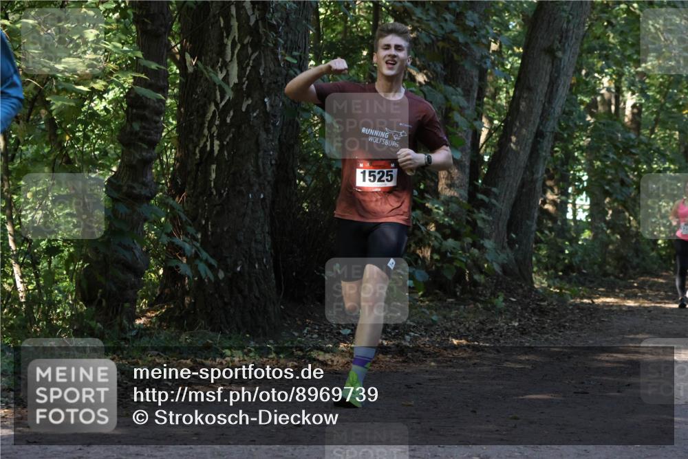 28.09.2025 - 33. Volkslauf durch das schöne Alstertal Strokosch-Dieckow http://msf.ph/oto/8969739 28.09.2025 11:35:05 Laufen 1525 meine-sportfotos.de