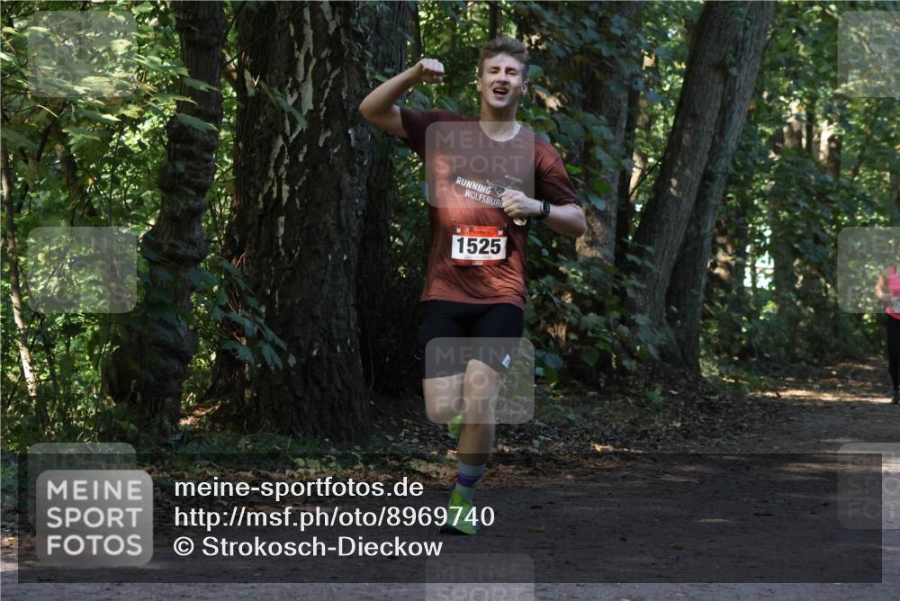 28.09.2025 - 33. Volkslauf durch das schöne Alstertal Strokosch-Dieckow http://msf.ph/oto/8969740 28.09.2025 11:35:05 Laufen 1525 meine-sportfotos.de