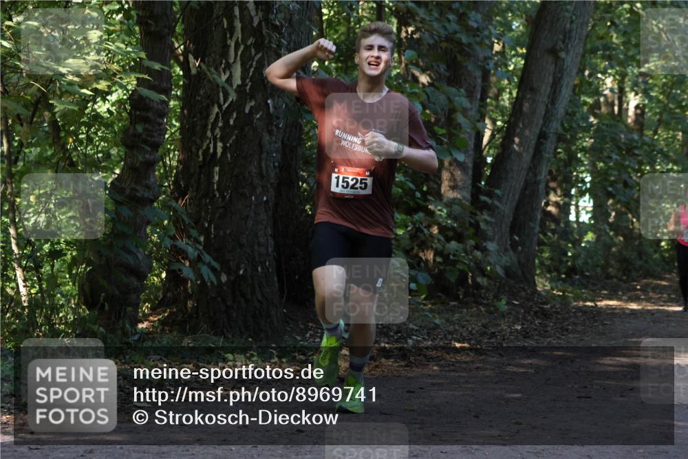28.09.2025 - 33. Volkslauf durch das schöne Alstertal Strokosch-Dieckow http://msf.ph/oto/8969741 28.09.2025 11:35:05 Laufen 1525 meine-sportfotos.de