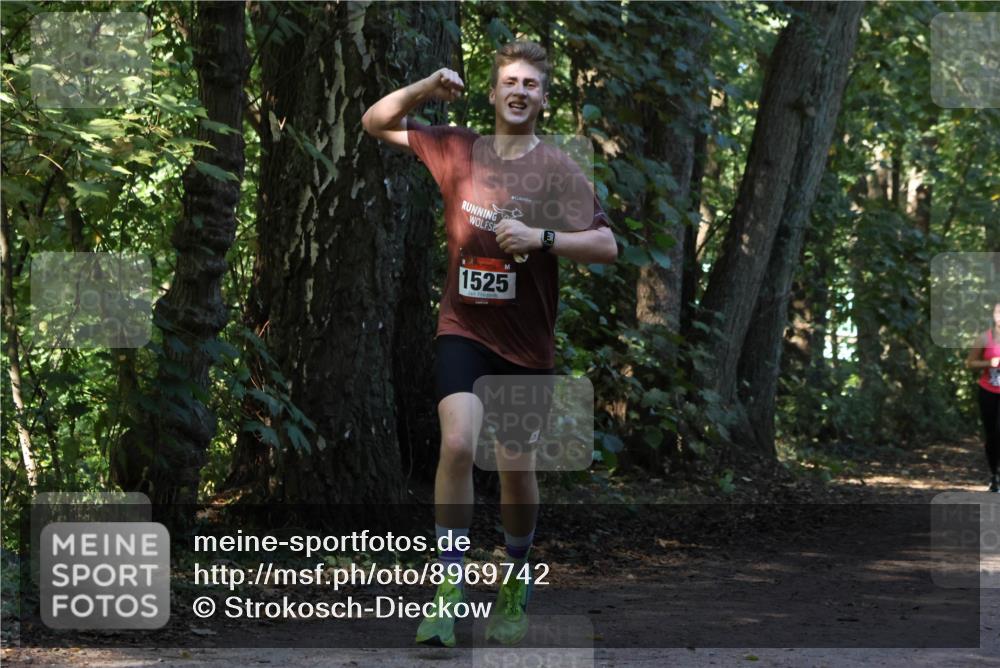 28.09.2025 - 33. Volkslauf durch das schöne Alstertal Strokosch-Dieckow http://msf.ph/oto/8969742 28.09.2025 11:35:05 Laufen 1525 meine-sportfotos.de