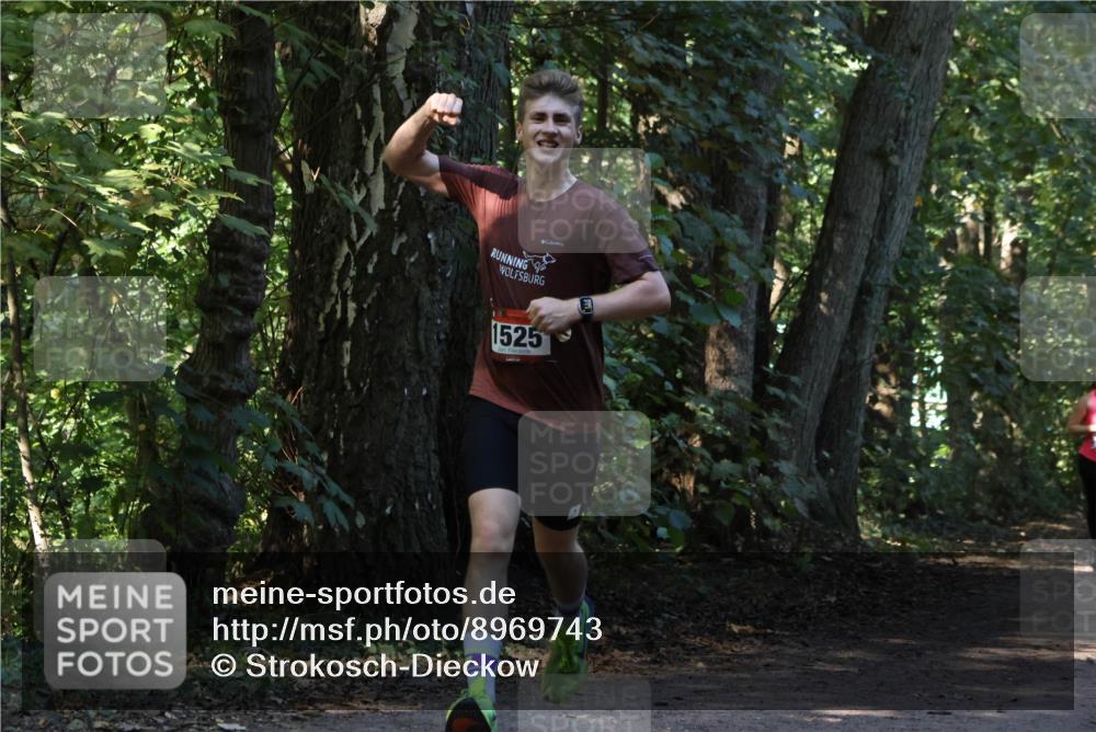 28.09.2025 - 33. Volkslauf durch das schöne Alstertal Strokosch-Dieckow http://msf.ph/oto/8969743 28.09.2025 11:35:05 Laufen 1525 meine-sportfotos.de
