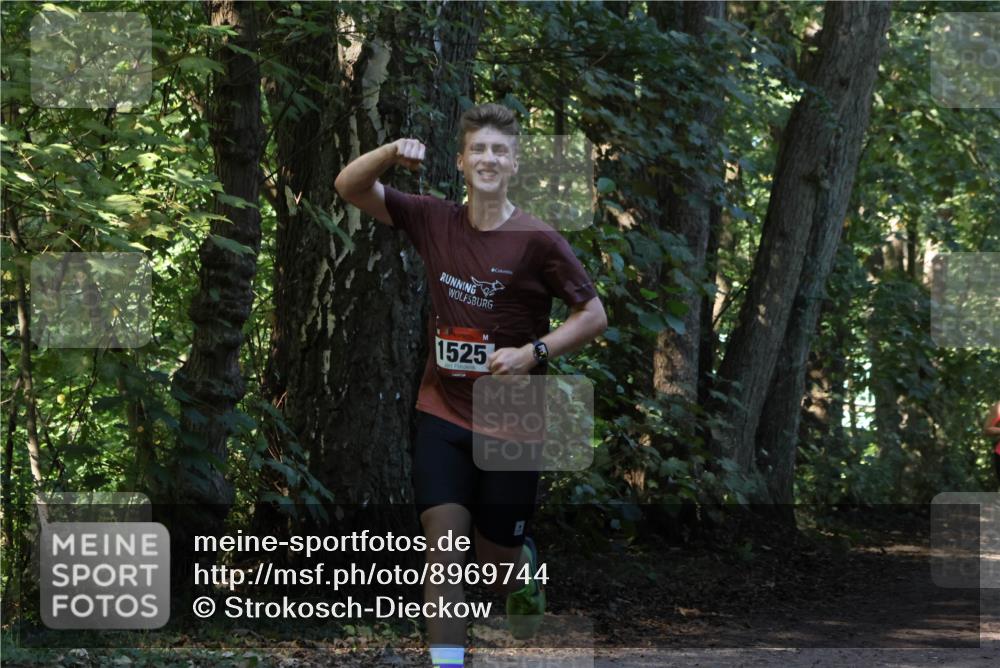 28.09.2025 - 33. Volkslauf durch das schöne Alstertal Strokosch-Dieckow http://msf.ph/oto/8969744 28.09.2025 11:35:05 Laufen 1525 meine-sportfotos.de