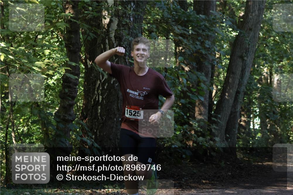 28.09.2025 - 33. Volkslauf durch das schöne Alstertal Strokosch-Dieckow http://msf.ph/oto/8969746 28.09.2025 11:35:05 Laufen 1525 meine-sportfotos.de
