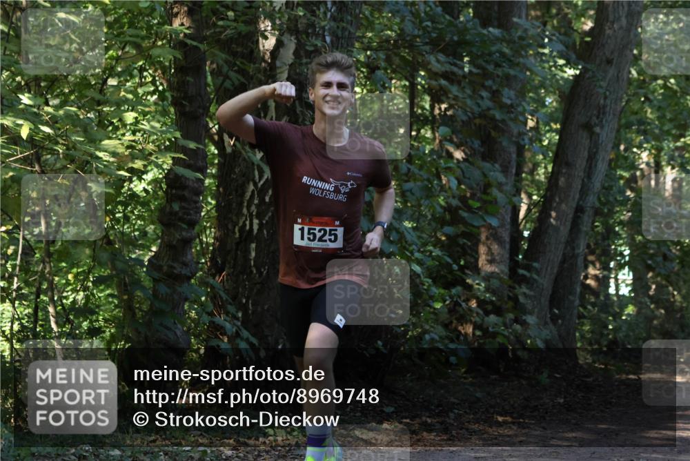 28.09.2025 - 33. Volkslauf durch das schöne Alstertal Strokosch-Dieckow http://msf.ph/oto/8969748 28.09.2025 11:35:05 Laufen 1525 meine-sportfotos.de