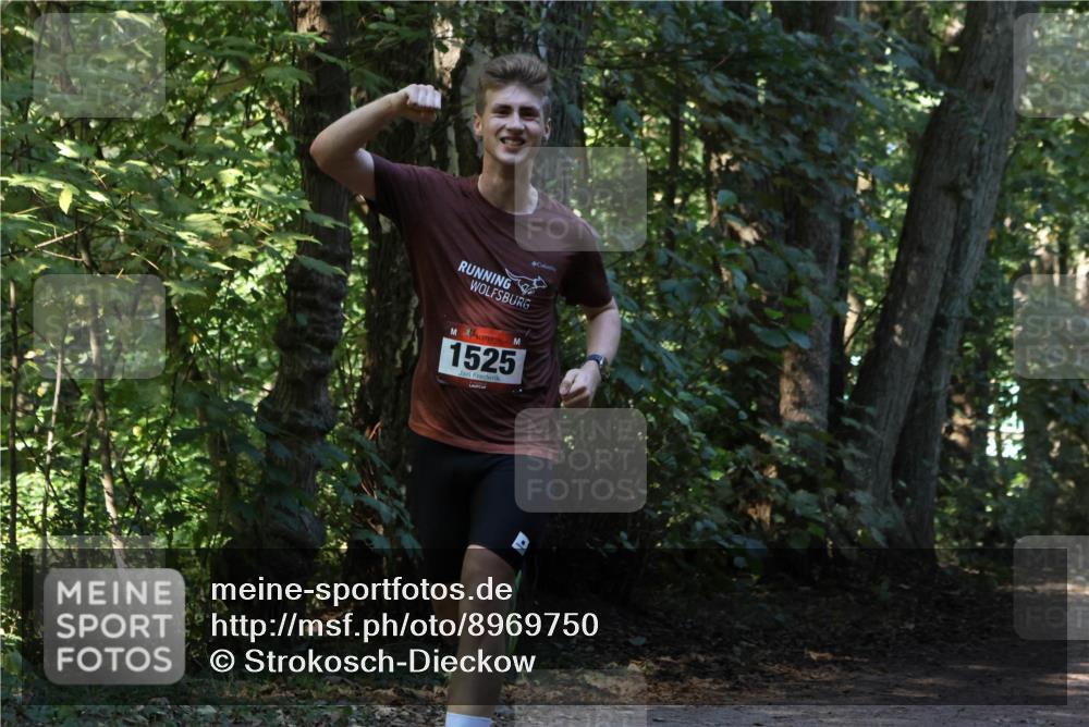 28.09.2025 - 33. Volkslauf durch das schöne Alstertal Strokosch-Dieckow http://msf.ph/oto/8969750 28.09.2025 11:35:05 Laufen 1525 meine-sportfotos.de