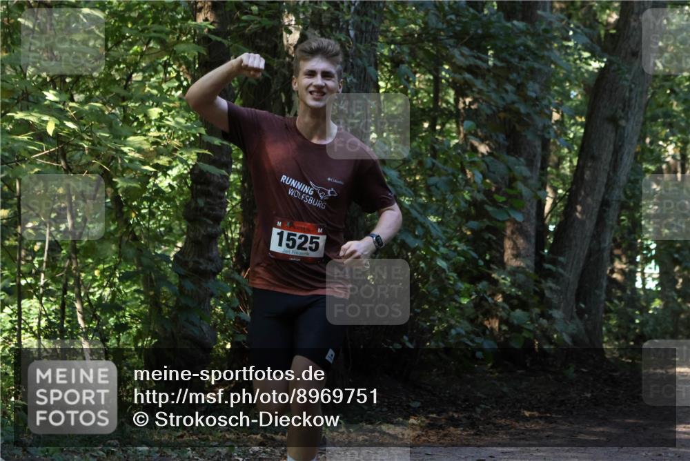28.09.2025 - 33. Volkslauf durch das schöne Alstertal Strokosch-Dieckow http://msf.ph/oto/8969751 28.09.2025 11:35:06 Laufen 1525 meine-sportfotos.de