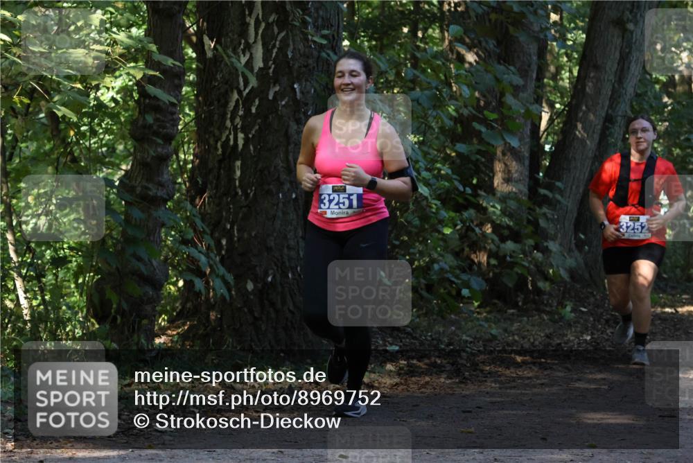 28.09.2025 - 33. Volkslauf durch das schöne Alstertal Strokosch-Dieckow http://msf.ph/oto/8969752 28.09.2025 11:35:12 Laufen 3251, 3252 meine-sportfotos.de