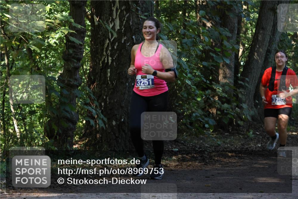 28.09.2025 - 33. Volkslauf durch das schöne Alstertal Strokosch-Dieckow http://msf.ph/oto/8969753 28.09.2025 11:35:12 Laufen 3251, 3252 meine-sportfotos.de