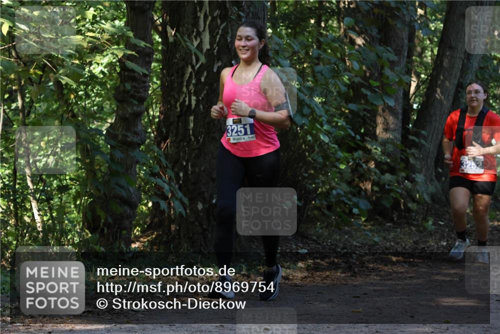 28.09.2025 - 33. Volkslauf durch das schöne Alstertal Strokosch-Dieckow http://msf.ph/oto/8969754 28.09.2025 11:35:13 Laufen 3251 meine-sportfotos.de
