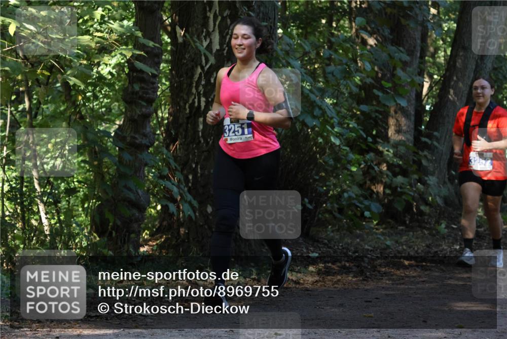 28.09.2025 - 33. Volkslauf durch das schöne Alstertal Strokosch-Dieckow http://msf.ph/oto/8969755 28.09.2025 11:35:13 Laufen 3251, 3252 meine-sportfotos.de