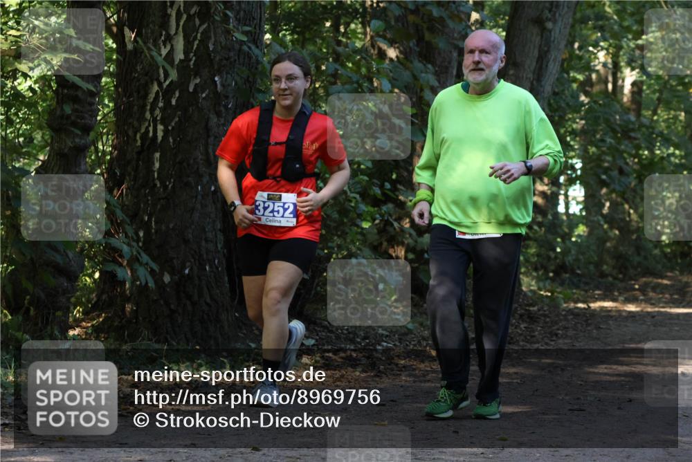 28.09.2025 - 33. Volkslauf durch das schöne Alstertal Strokosch-Dieckow http://msf.ph/oto/8969756 28.09.2025 11:35:15 Laufen 3252 meine-sportfotos.de