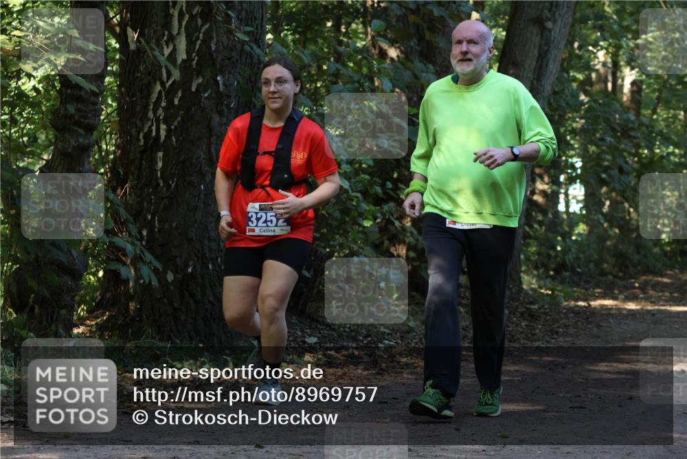28.09.2025 - 33. Volkslauf durch das schöne Alstertal Strokosch-Dieckow http://msf.ph/oto/8969757 28.09.2025 11:35:15 Laufen 3252 meine-sportfotos.de