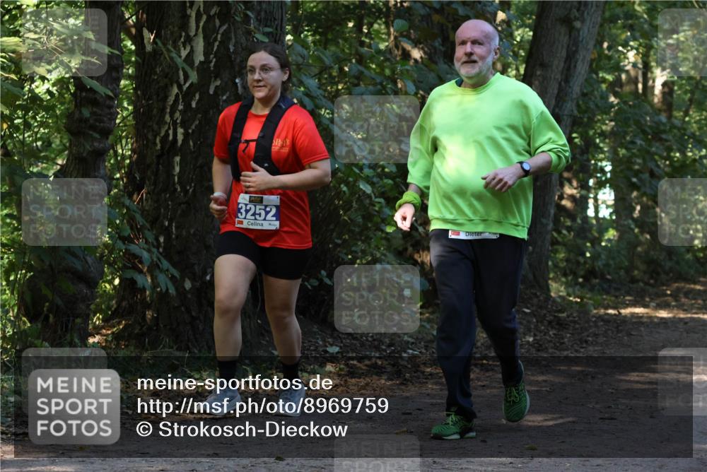 28.09.2025 - 33. Volkslauf durch das schöne Alstertal Strokosch-Dieckow http://msf.ph/oto/8969759 28.09.2025 11:35:15 Laufen 3252 meine-sportfotos.de
