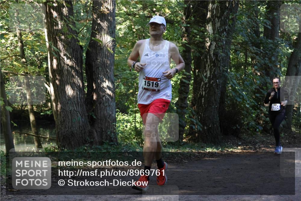 28.09.2025 - 33. Volkslauf durch das schöne Alstertal Strokosch-Dieckow http://msf.ph/oto/8969761 28.09.2025 11:35:23 Laufen 1519, 3204 meine-sportfotos.de
