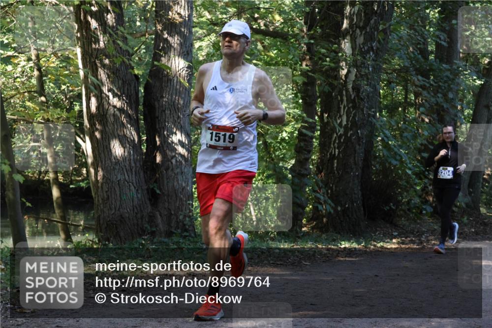 28.09.2025 - 33. Volkslauf durch das schöne Alstertal Strokosch-Dieckow http://msf.ph/oto/8969764 28.09.2025 11:35:23 Laufen 1519, 3204 meine-sportfotos.de