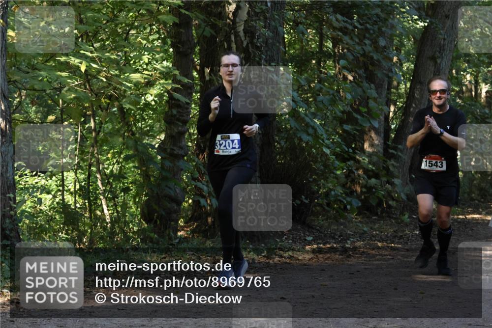 28.09.2025 - 33. Volkslauf durch das schöne Alstertal Strokosch-Dieckow http://msf.ph/oto/8969765 28.09.2025 11:35:24 Laufen 3204, 1543 meine-sportfotos.de